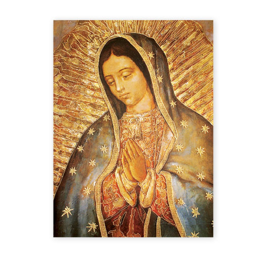 19" x 27" Our Lady of Guadalupe Poster