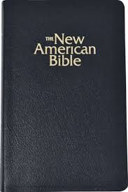 Catholic Gift Bible: New American Bible (NAB)