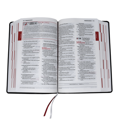 Divine Mercy Catholic Bible.