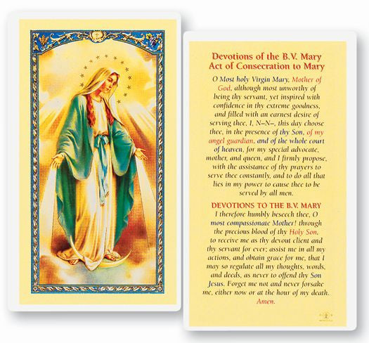 Devotions Of The Blessed Virgin Mary Laminated Holy Card – Joseph's ...